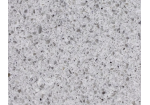 Đá nhân tạo Vicostone Castelo BQ982