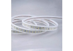 Đèn LED Dây Panasonic NST1206 8W (Dài 50m-Ánh Sáng Trắng)