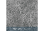 Gạch ốp lát Eurotile 300x600 ANN G04