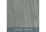 Gạch ốp lát Eurotile 300x600 LUS G02