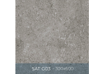 Gạch ốp lát Eurotile 300x600 SAT G03