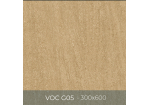 Gạch ốp lát Eurotile 300x600 VOC G05
