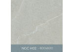 Gạch ốp lát Eurotile 600x600 NGC H02