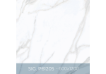 Gạch ốp lát Eurotile 800x800 SIG.P61205