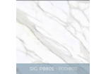 Gạch ốp lát Eurotile 800x800 SIG.P8805