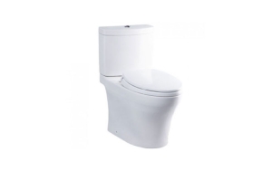 Bàn cầu hai khối TOTO CS769DRT2