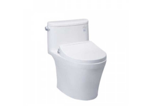 Bàn cầu một khối nắp rửa cơ TOTO ECOWASH MS887RE2