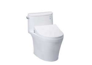 Bàn cầu một khối nắp rửa cơ TOTO ECOWASH MS887RE4
