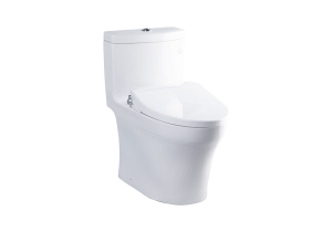 Bàn cầu một khối nắp rửa cơ TOTO ECOWASH MS889DRE2