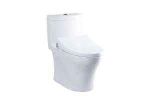 Bàn cầu một khối nắp rửa cơ TOTO ECOWASH MS889DRE4