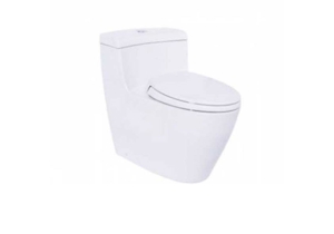 Bàn cầu một khối TOTO MS636DT2