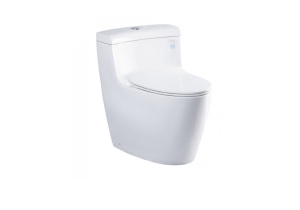 Bàn cầu một khối TOTO MS636DT8