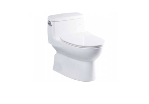 Bàn cầu một khối TOTO MS884T8