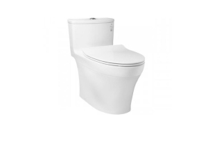 Bàn cầu một khối TOTO MS885DT8