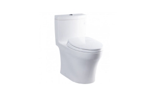 Bàn cầu một khối TOTO MS889DRT2