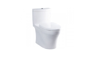Bàn cầu một khối TOTO MS889DRT3