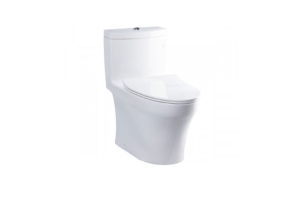 Bàn cầu một khối TOTO MS889DRT8