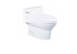 Bàn cầu một khối TOTO MS904T2