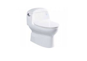 Bàn cầu một khối TOTO MS914RT8