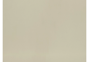 Đá nhân tạo Vicostone Beluga BS4000