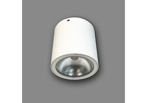 Đèn LED Downlight Trụ Ngoài Trời Ánh Sáng Trắng Panasonic NSDL2236-76
