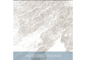 Gạch ốp lát Eurotile 300x600 HOD G01