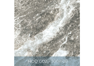 Gạch ốp lát Eurotile 300x600 HOD G02