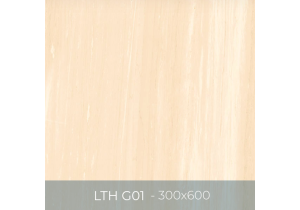 Gạch ốp lát Eurotile 300x600 LTH G01