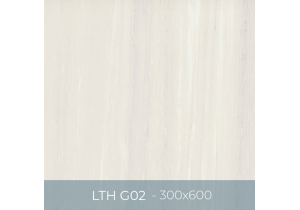 Gạch ốp lát Eurotile 300x600 LTH G02