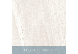 Gạch ốp lát Eurotile 300x600 LUS G01