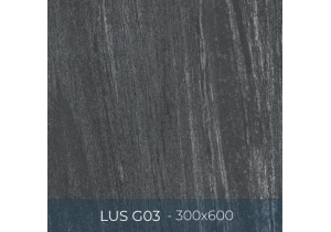 Gạch ốp lát Eurotile 300x600 LUS G03