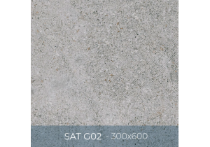 Gạch ốp lát Eurotile 300x600 SAT G02