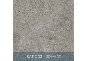 Gạch ốp lát Eurotile 300x600 SAT G03