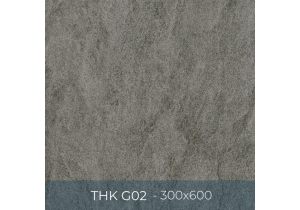 Gạch ốp lát Eurotile 300x600 THK G02