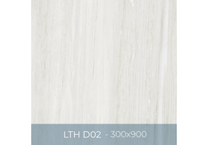 Gạch ốp lát Eurotile 300x900 LTH D02