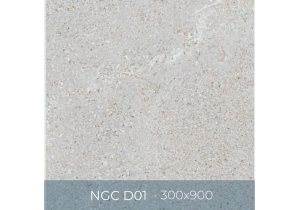 Gạch ốp lát Eurotile 300x900 NGC D01