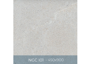Gạch ốp lát Eurotile 450x900 NGC I01