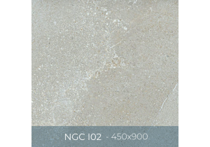 Gạch ốp lát Eurotile 450x900 NGC I02
