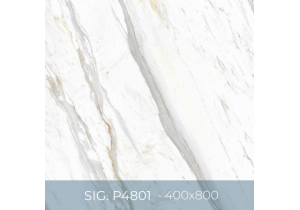Gạch ốp lát Eurotile 400x800 SIG.P4801