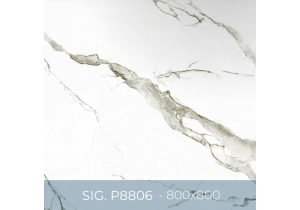 Gạch ốp lát Eurotile 400x800 SIG.P4806