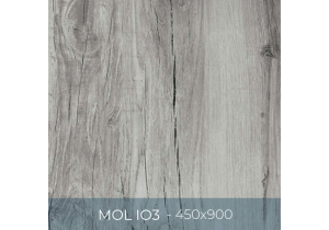 Gạch ốp lát Eurotile 450x900 MOL I03