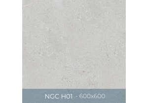 Gạch ốp lát Eurotile 600x600 NGC H01