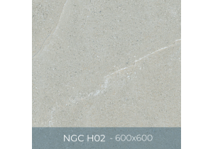 Gạch ốp lát Eurotile 600x600 NGC H02