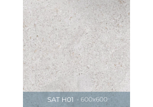 Gạch ốp lát Eurotile 600x600 SAT H01