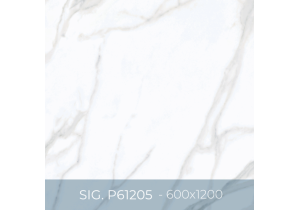 Gạch ốp lát Eurotile 800x800 SIG.P61205