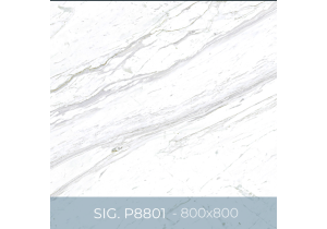 Gạch ốp lát Eurotile 800x800 SIG.P8801