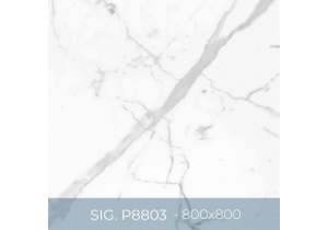 Gạch ốp lát Eurotile 800x800 SIG.P8803