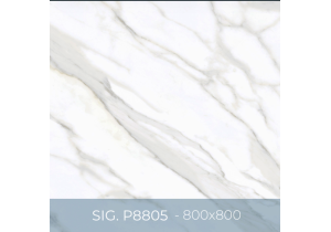 Gạch ốp lát Eurotile 800x800 SIG.P8805