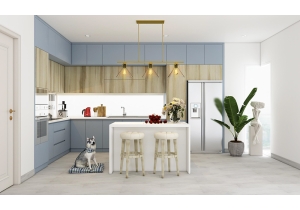 Hệ tủ bếp Duy Phúc BDP027