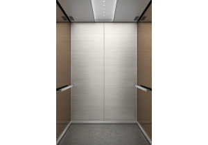 Thang máy gia đình nhập khẩu KONE